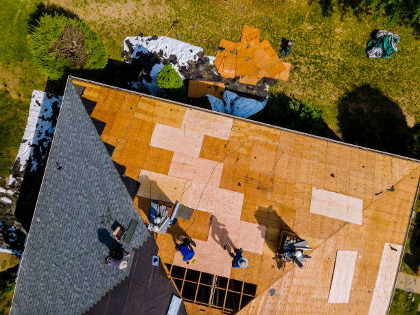 Best Roof Maintenance Services  in Redan, GA